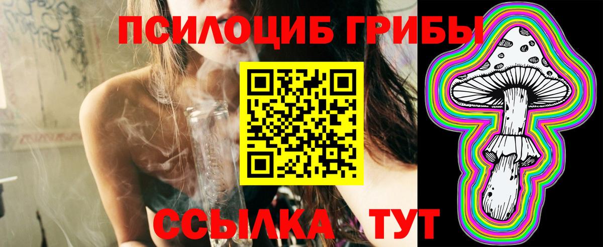 Гудермес  Псилоцибиновые грибы прущие грибы  Вход с VPN 